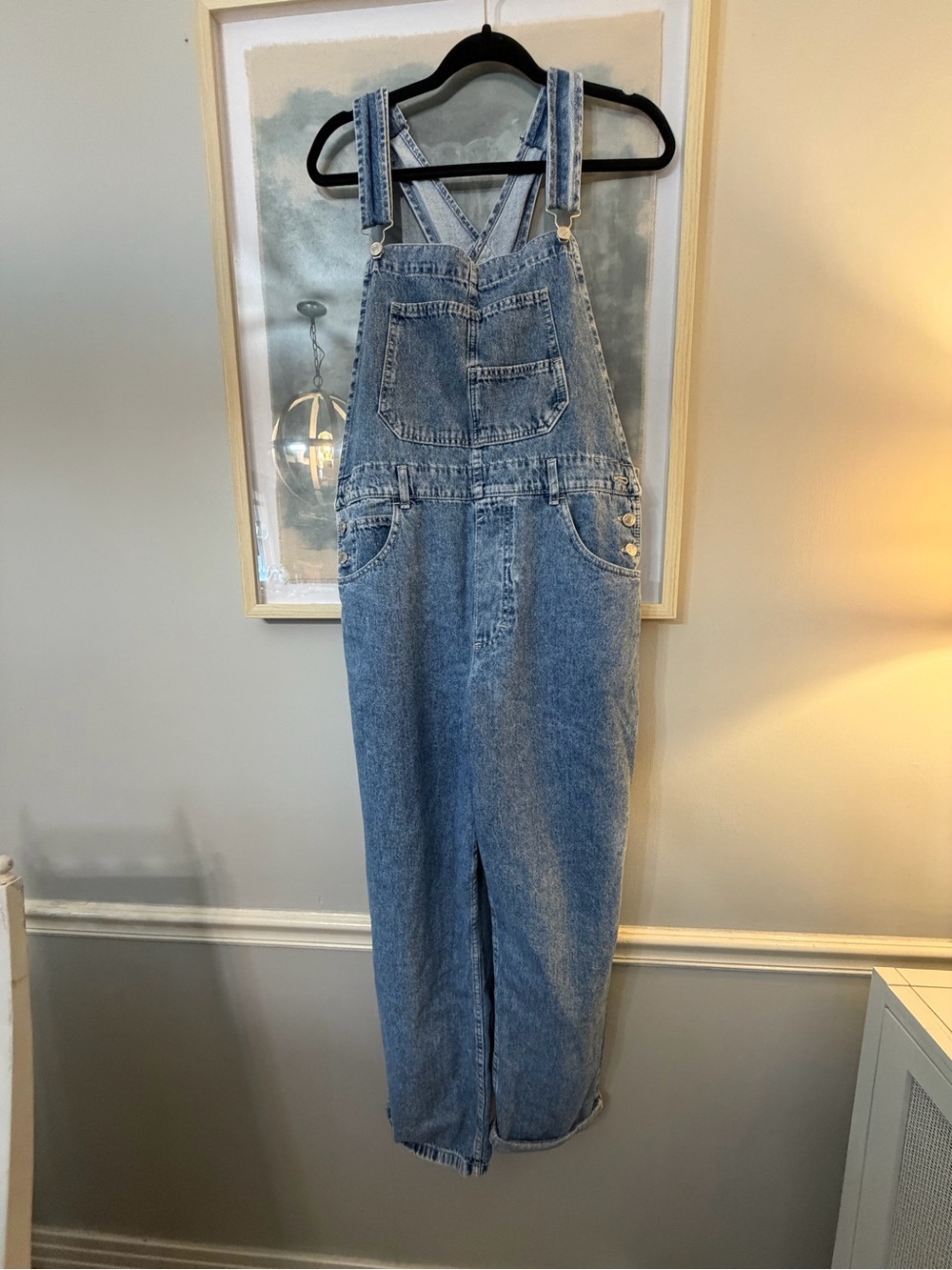 We The Free Light Blue Ziggy Denim Overalls